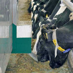 Image to represent automatic feeding