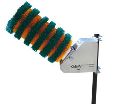 An image of an m-brush cow brush
